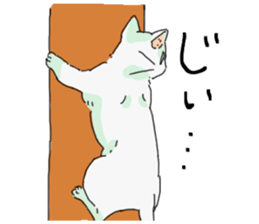 White<Cat sticker> sticker #15048346