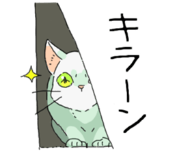 White<Cat sticker> sticker #15048363