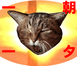 NANA Stickers Vol.4 sticker #15048497