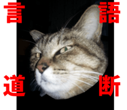 NANA Stickers Vol.4 sticker #15048507