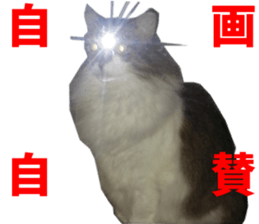 NANA Stickers Vol.4 sticker #15048512