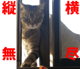 NANA Stickers Vol.4 sticker #15048515