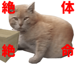 NANA Stickers Vol.4 sticker #15048517