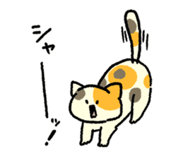 Calico<Cat sticker> sticker #15048588