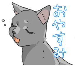 Russian Blue<Cat sticker> sticker #15048932