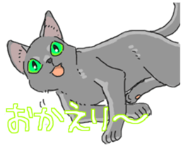 Russian Blue<Cat sticker> sticker #15048936