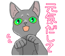 Russian Blue<Cat sticker> sticker #15048940