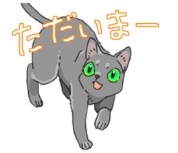 Russian Blue<Cat sticker> sticker #15048941