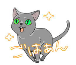 Russian Blue<Cat sticker> sticker #15048944