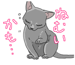 Russian Blue<Cat sticker> sticker #15048945