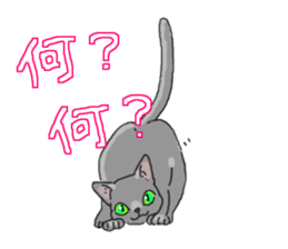 Russian Blue<Cat sticker> sticker #15048946