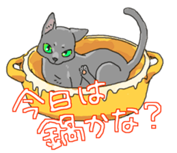 Russian Blue<Cat sticker> sticker #15048955