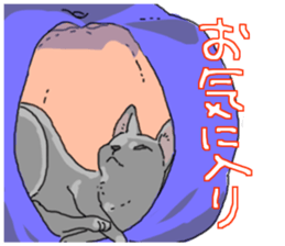 Russian Blue<Cat sticker> sticker #15048956