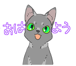 Russian Blue<Cat sticker> sticker #15048959