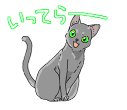 Russian Blue<Cat sticker> sticker #15048960