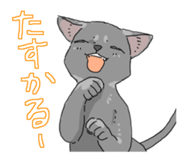 Russian Blue<Cat sticker> sticker #15048963