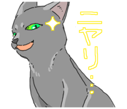 Russian Blue<Cat sticker> sticker #15048965