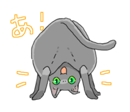 Russian Blue<Cat sticker> sticker #15048967