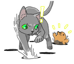 Russian Blue<Cat sticker> sticker #15048970