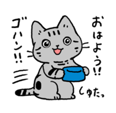 American Shorthair<Cat sticker> sticker #15049132