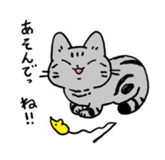 American Shorthair<Cat sticker> sticker #15049134