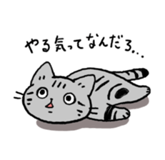 American Shorthair<Cat sticker> sticker #15049135