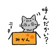 American Shorthair<Cat sticker> sticker #15049141