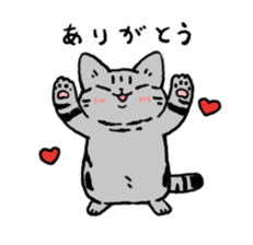 American Shorthair<Cat sticker> sticker #15049142
