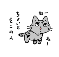 American Shorthair<Cat sticker> sticker #15049143