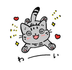American Shorthair<Cat sticker> sticker #15049145