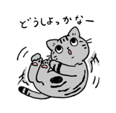 American Shorthair<Cat sticker> sticker #15049149