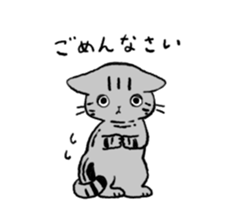 American Shorthair<Cat sticker> sticker #15049154