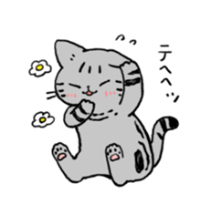 American Shorthair<Cat sticker> sticker #15049155