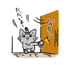 American Shorthair<Cat sticker> sticker #15049157