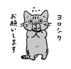 American Shorthair<Cat sticker> sticker #15049158