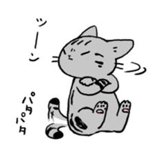 American Shorthair<Cat sticker> sticker #15049159
