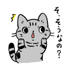 American Shorthair<Cat sticker> sticker #15049162