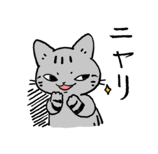 American Shorthair<Cat sticker> sticker #15049165