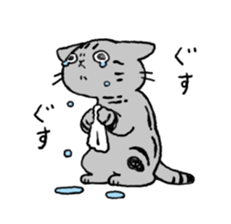 American Shorthair<Cat sticker> sticker #15049167