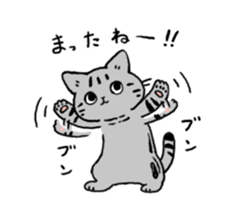 American Shorthair<Cat sticker> sticker #15049168