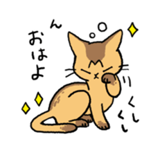 Abyssinian<Cat sticker> sticker #15049453