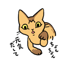 Abyssinian<Cat sticker> sticker #15049458