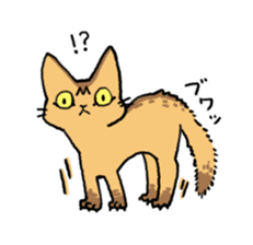 Abyssinian<Cat sticker> sticker #15049461