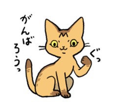 Abyssinian<Cat sticker> sticker #15049465