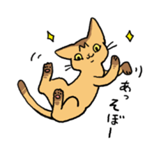 Abyssinian<Cat sticker> sticker #15049468