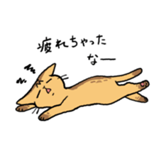 Abyssinian<Cat sticker> sticker #15049469
