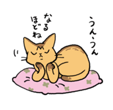 Abyssinian<Cat sticker> sticker #15049470