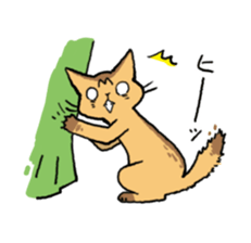 Abyssinian<Cat sticker> sticker #15049473