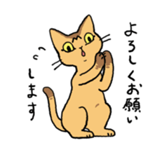 Abyssinian<Cat sticker> sticker #15049477