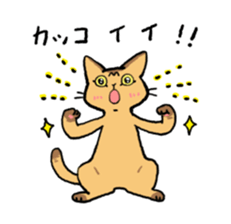 Abyssinian<Cat sticker> sticker #15049480